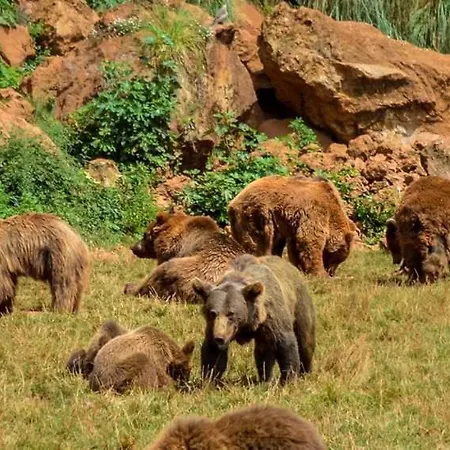 Casita Con Patio Y Piscina Entre El Mar Y Montanas 公寓