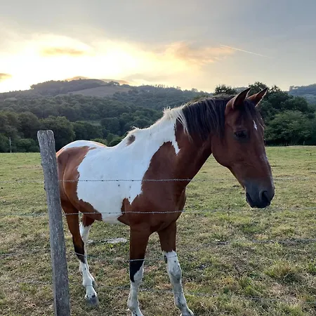 Apartman Casita Con Patio Y Piscina Entre El Mar Y Montanas