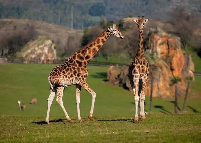 Casita Con Patio Y Piscina Entre El Mar Y Montanas Appartement