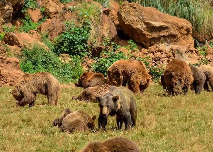 Casita Con Patio Y Piscina Entre El Mar Y Montanas Appartement