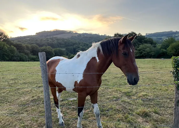 Appartement Casita Con Patio Y Piscina Entre El Mar Y Montanas